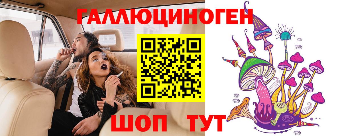Галлюциногенные грибы мухоморы Минусинск