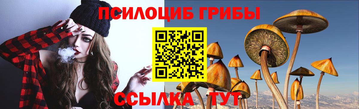 Псилоцибиновые грибы мицелий  Вход с VPN  Минусинск 